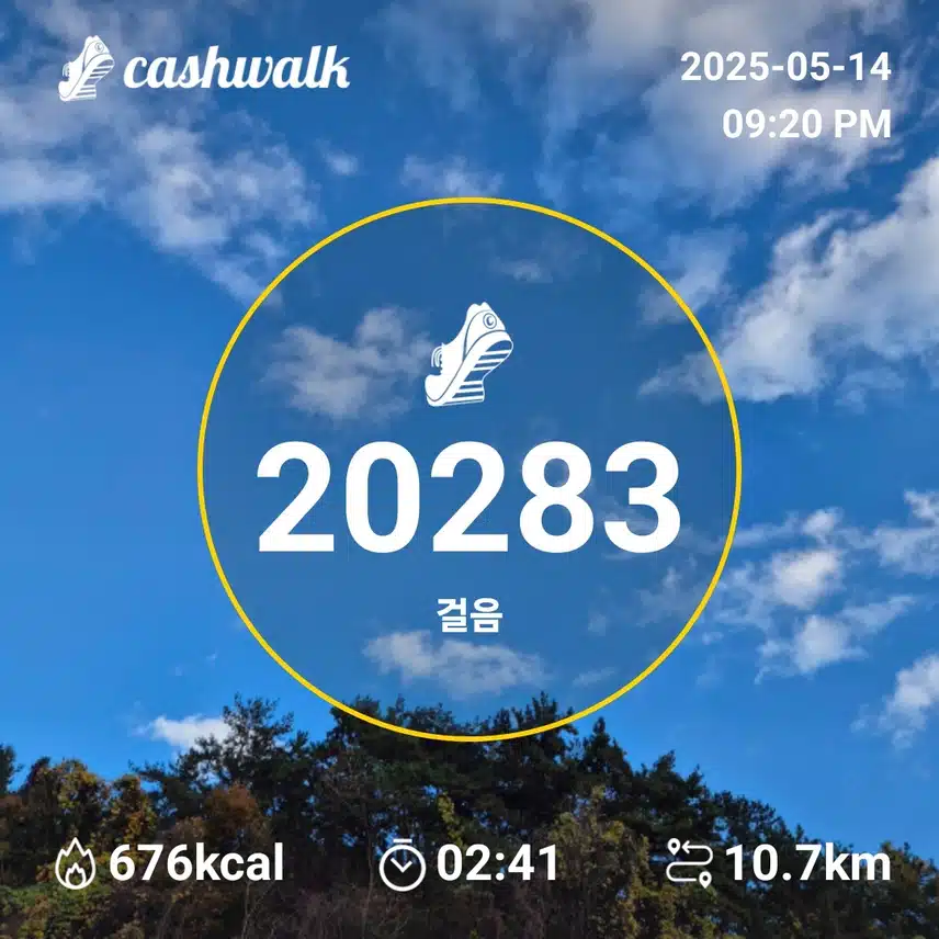 만보인증