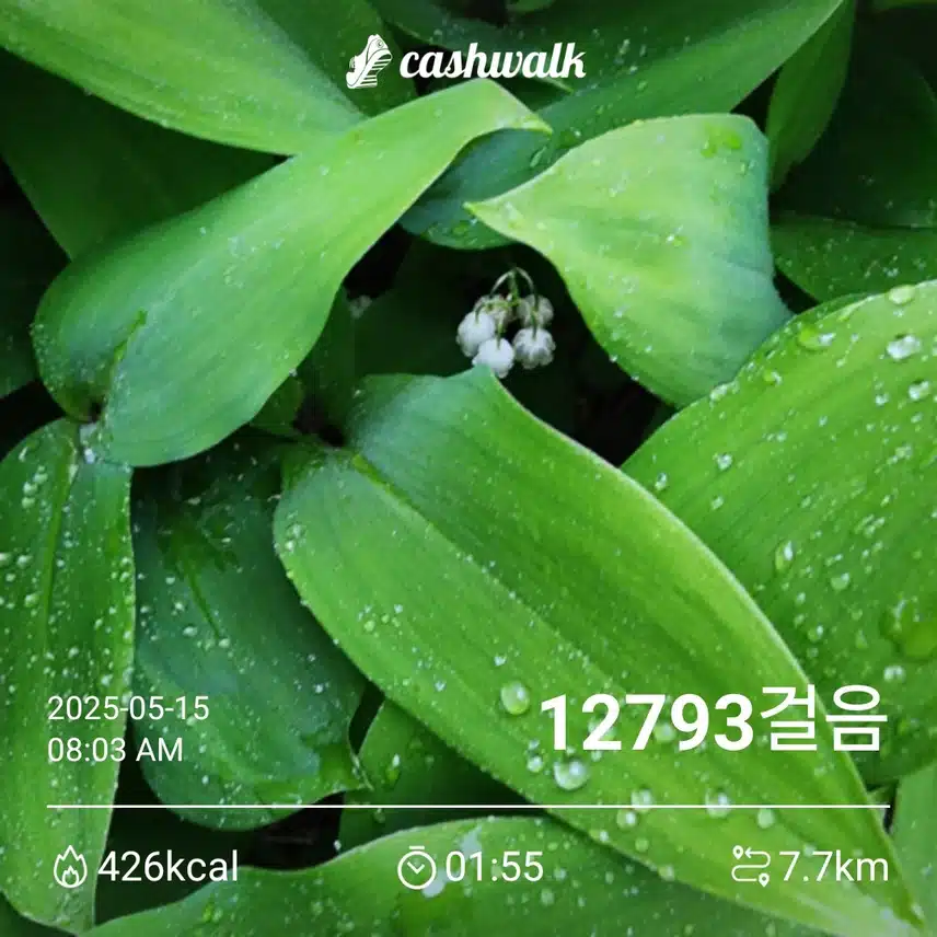 오늘도 일찍 걷고 왔어요^^
