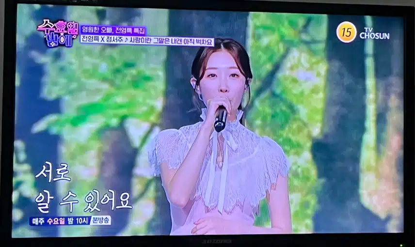 음색깡패 정서주와 전영록님의 무대에요