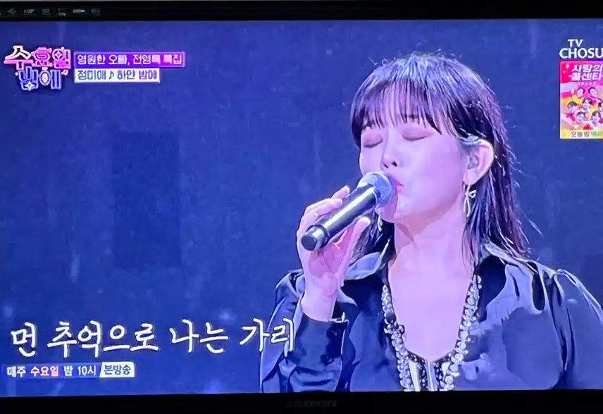정미애가 부르는 하얀밤에는 또 다른 느낌이에요