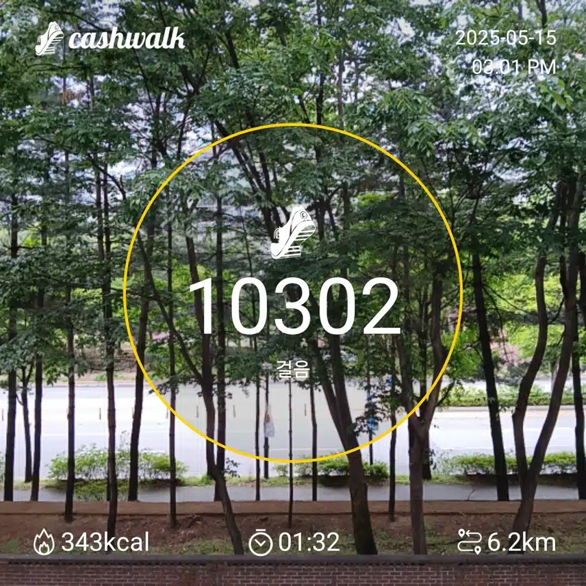 목요일 걷기운동^^