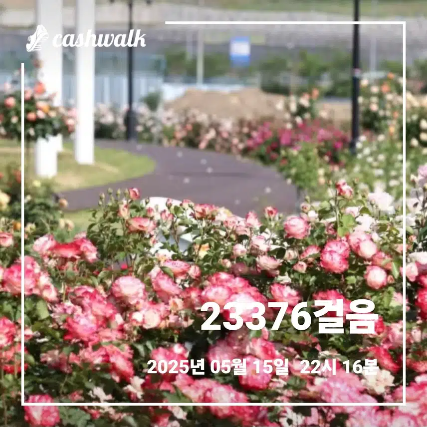    🌂좀더 일찍 새벽운동하고 외출☂️