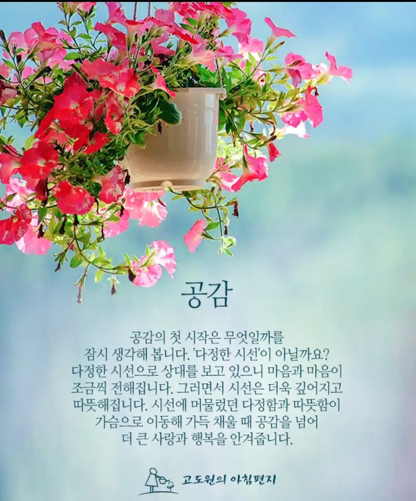 따뜻한 시선