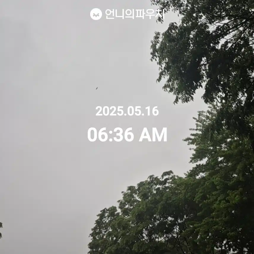 5월 16일 금요일 걷기 