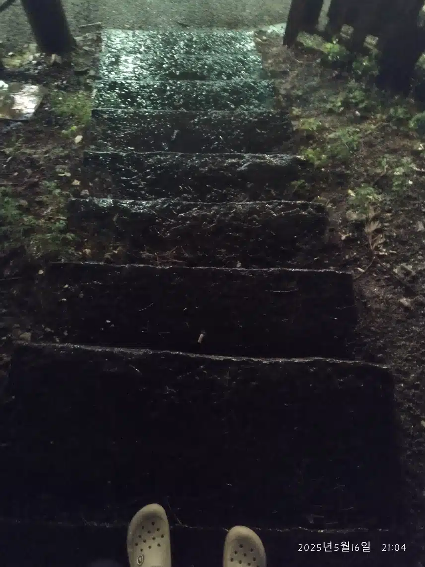 5.16 저녁산책