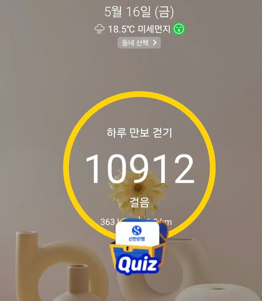 1만보 걷기 인증