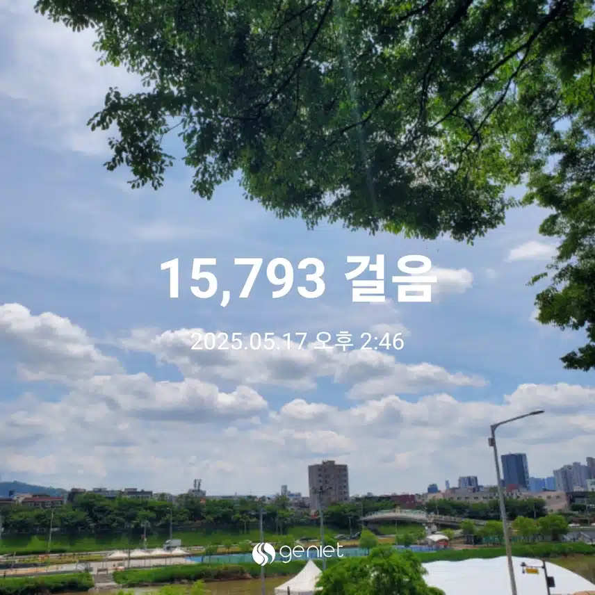만보걷기 완료