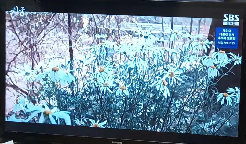 여리와 강철이 웃는 모습 보기 좋네요