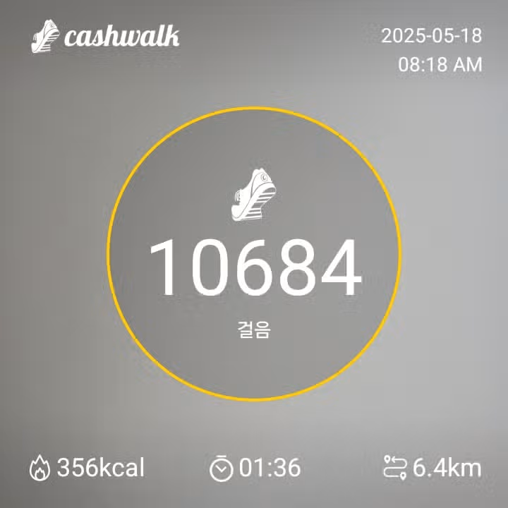 오전 운동 