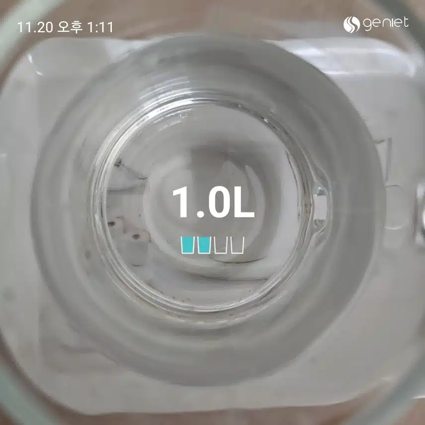 11월 20일 월요일 뷰티루틴 1
