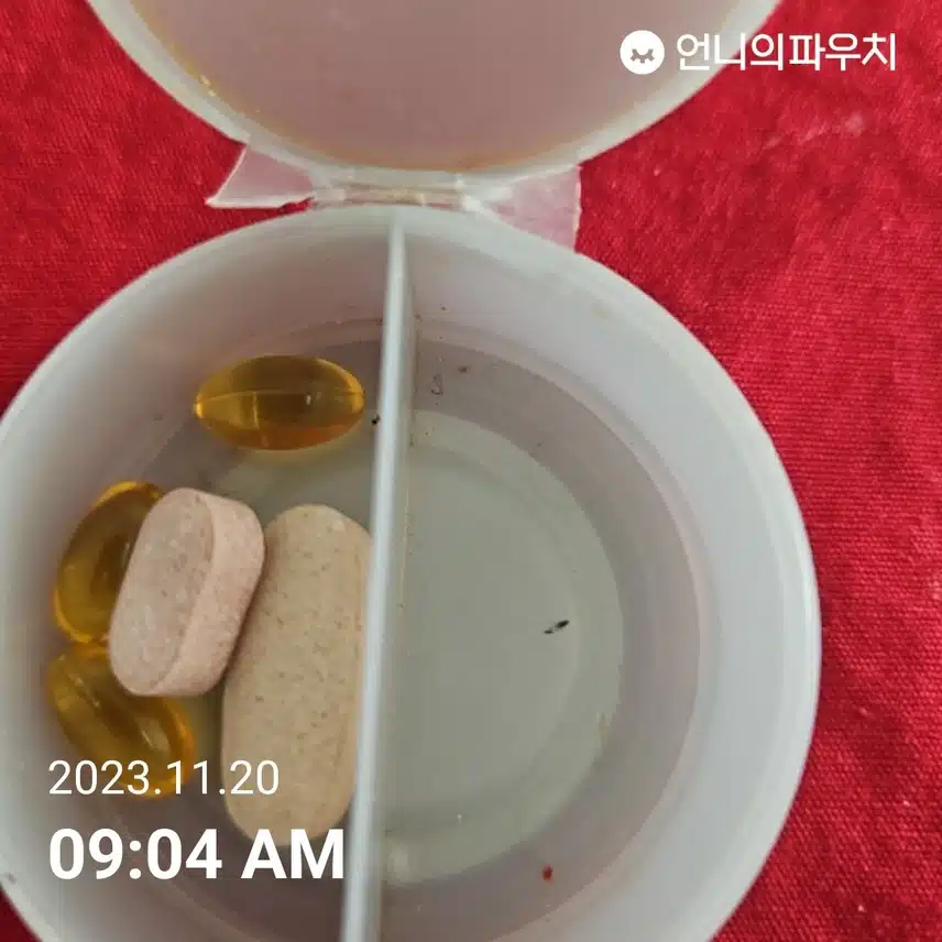 11월 20일 월요일 뷰티루틴 2