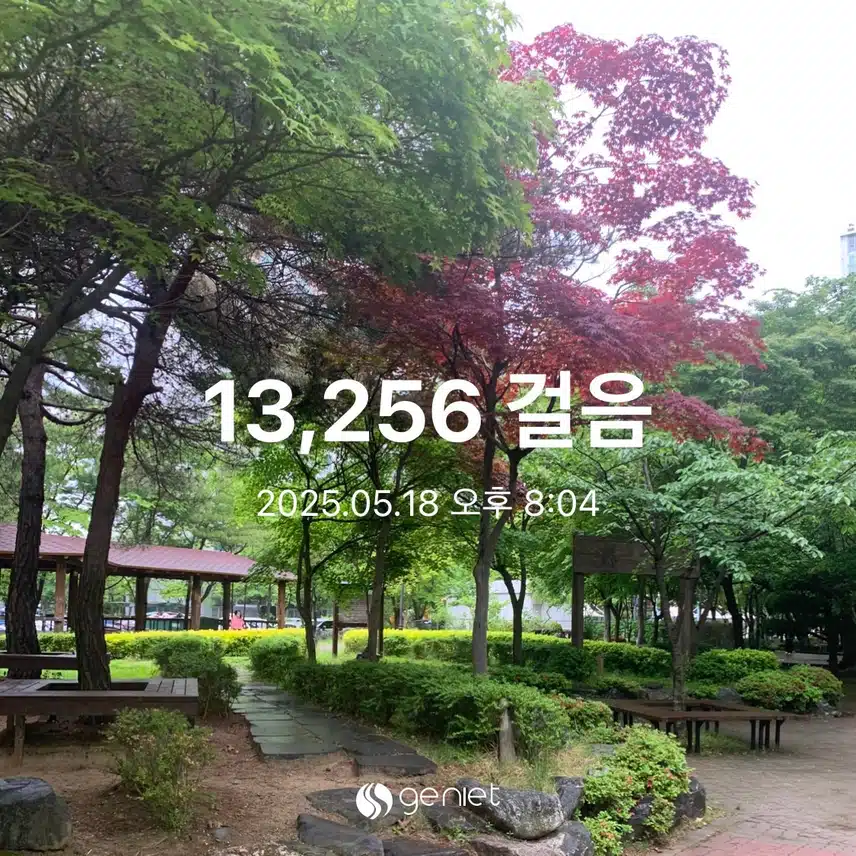 만보 걷기