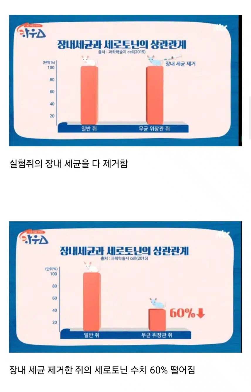 '장 건강'이 행복을 좌우하는 이유