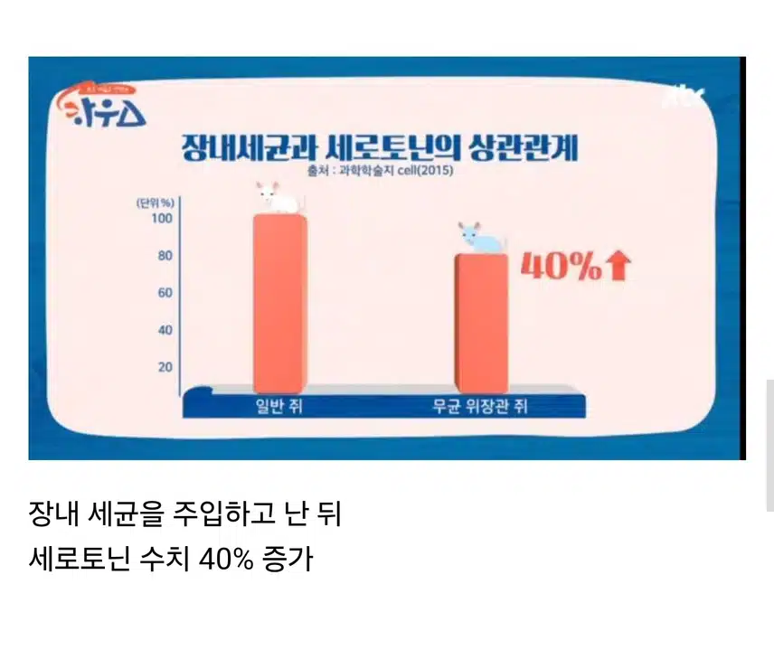 '장 건강'이 행복을 좌우하는 이유
