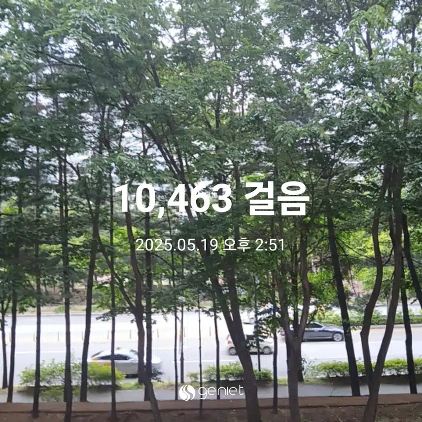 월요일 걷기운동^^