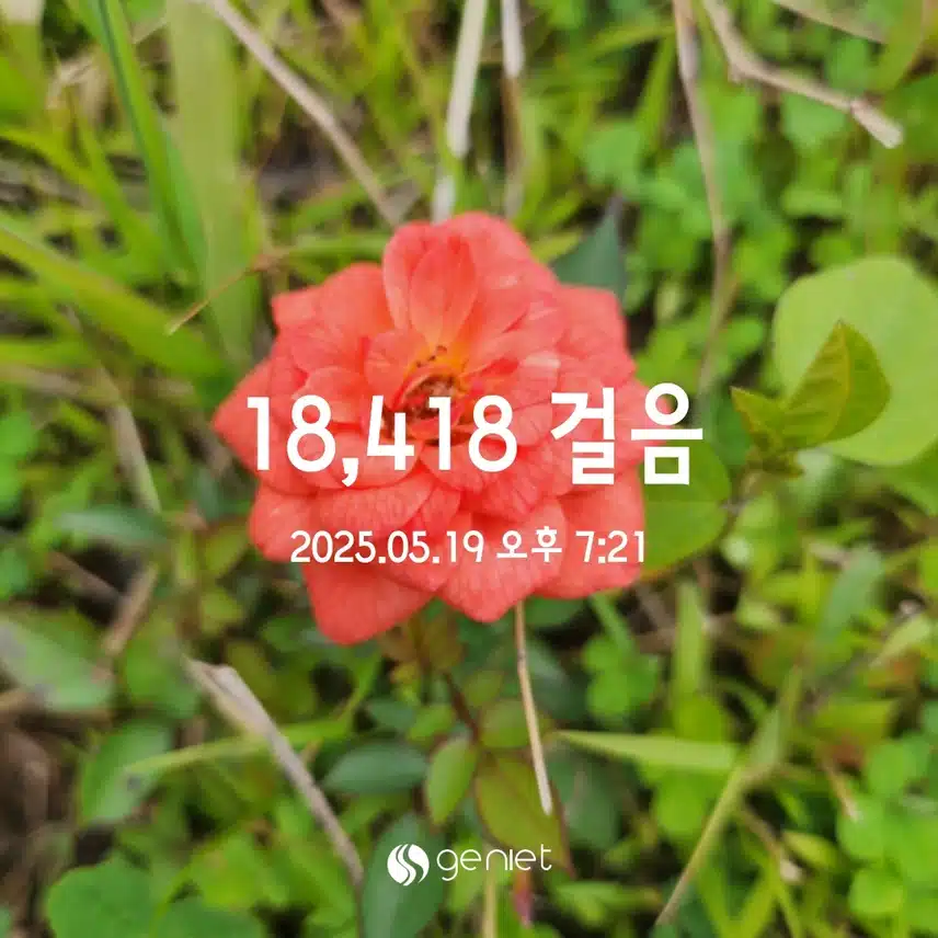 💪5.19  만보걷기 💕
