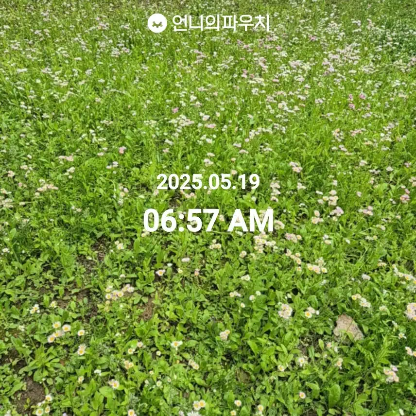 5/19 월 걷기 