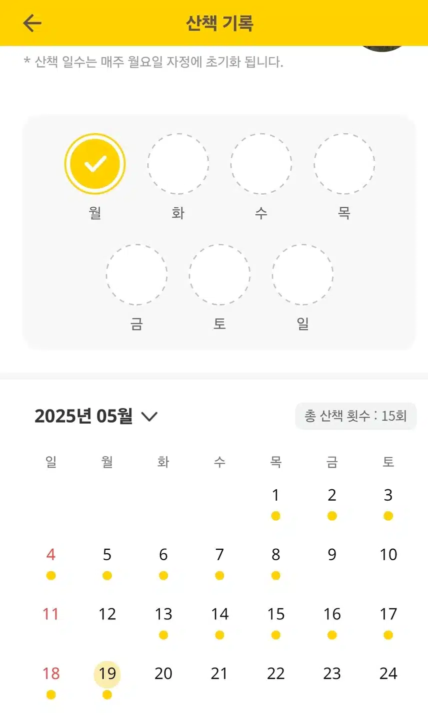 동네산책 