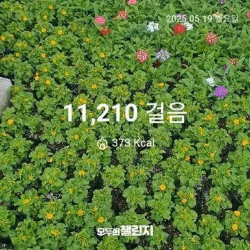 5월 19일 만천보 완주 