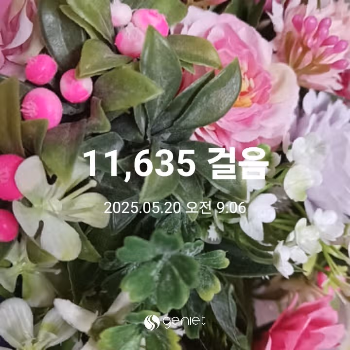 오전 운동 