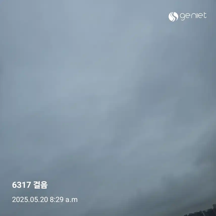 아침 산책길 건강 포인트.