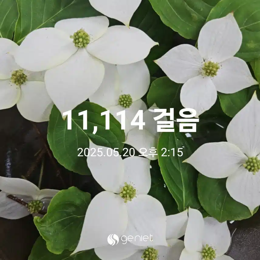 점심 후 걷기와 계단오르기로 🏃 