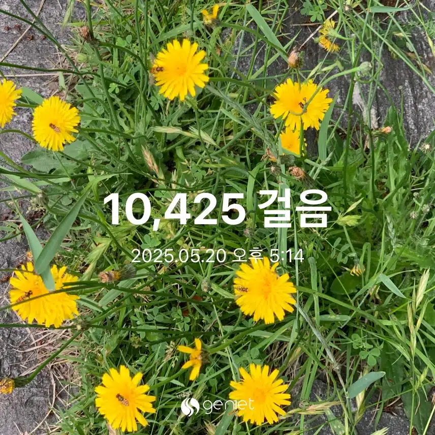 만보 걷기