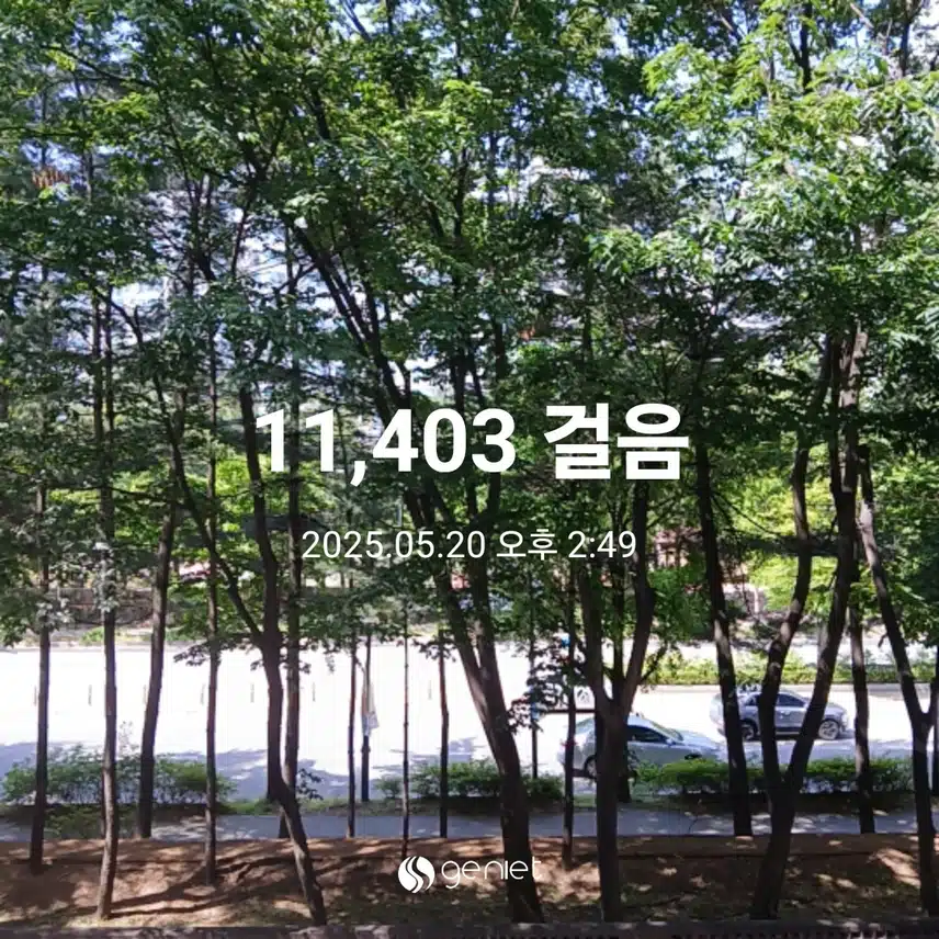 화요일 걷기운동^^