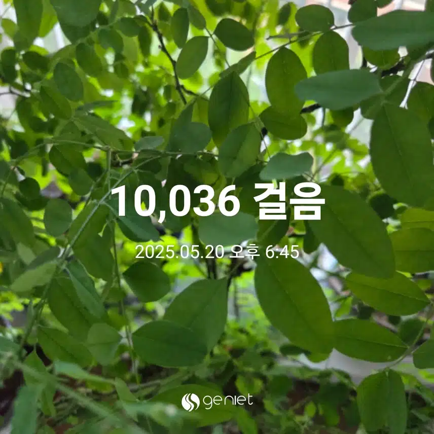 만보걷기 완료 