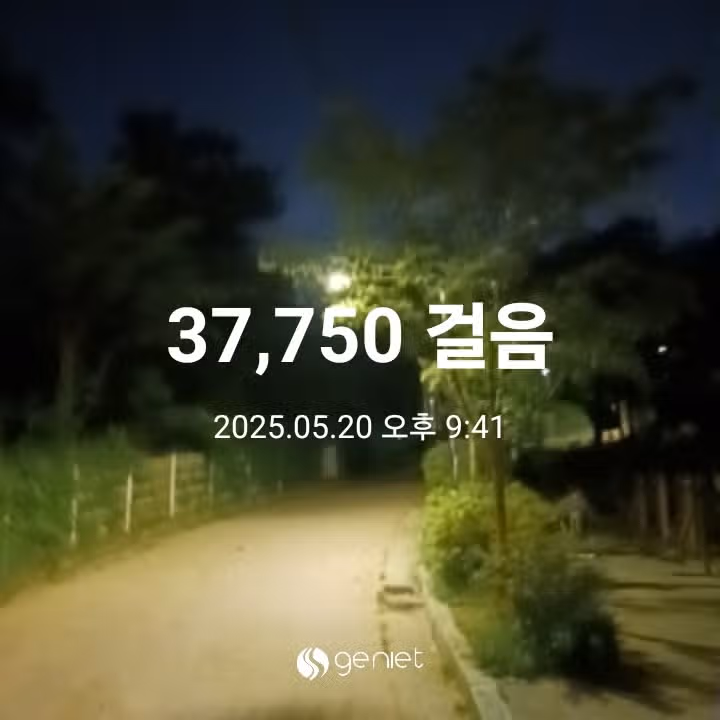 삼만보 걷기 