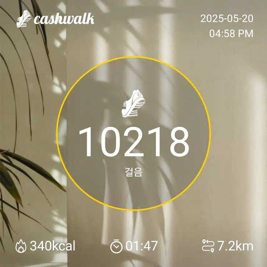 화요일 걷기 운동