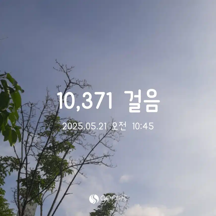 만보걷기완료