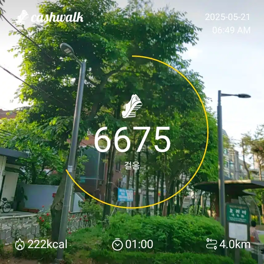 6000보 걷기