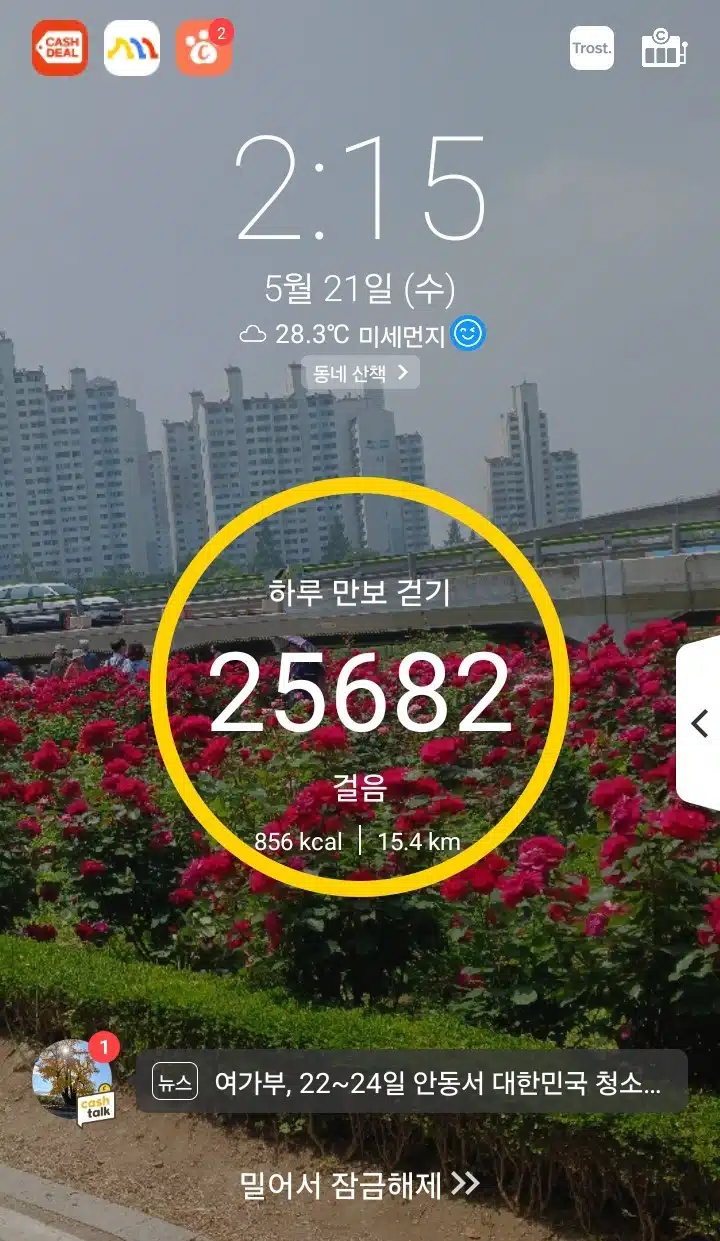 오후 운동 