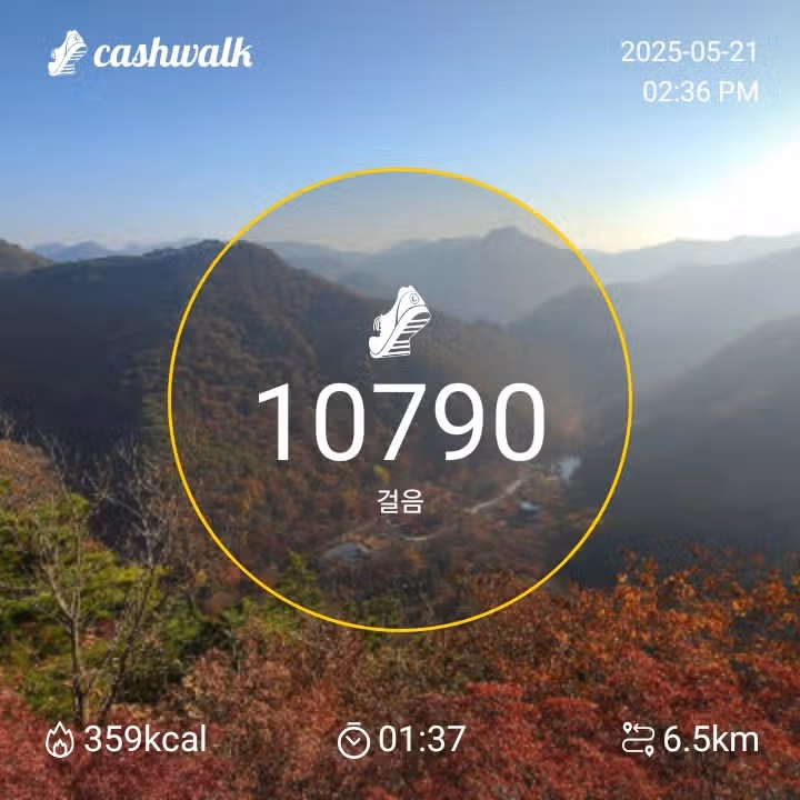 인증