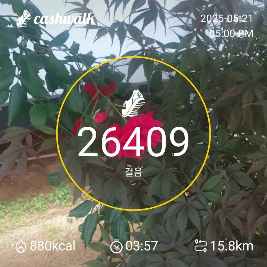 인증 