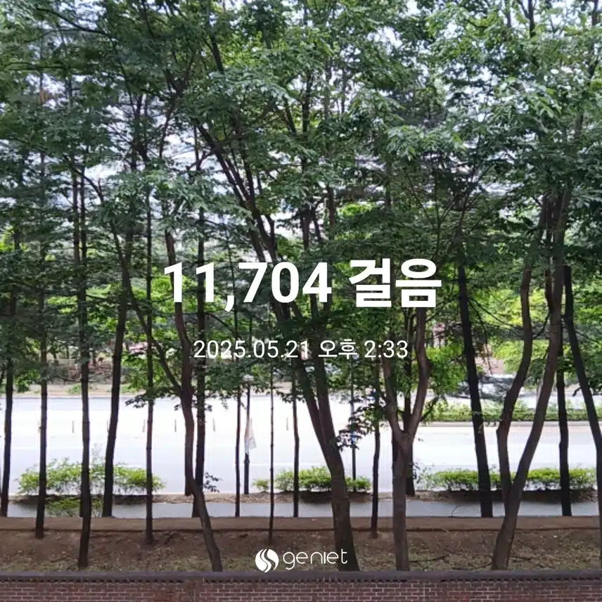 수요일 걷기운동^^