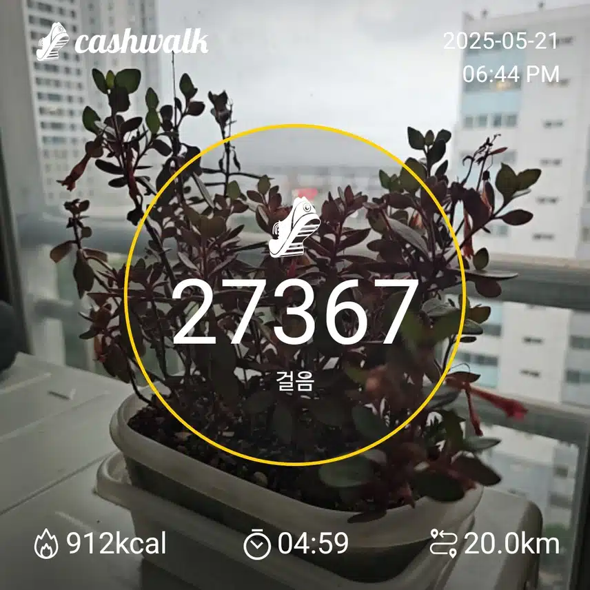 인증 