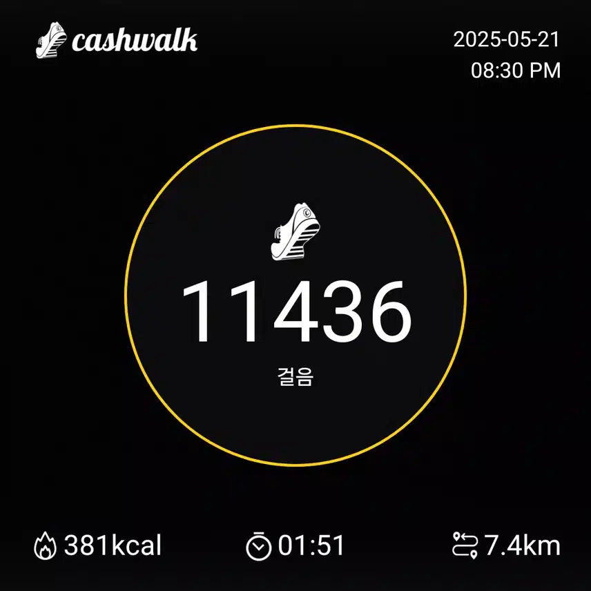 수요일