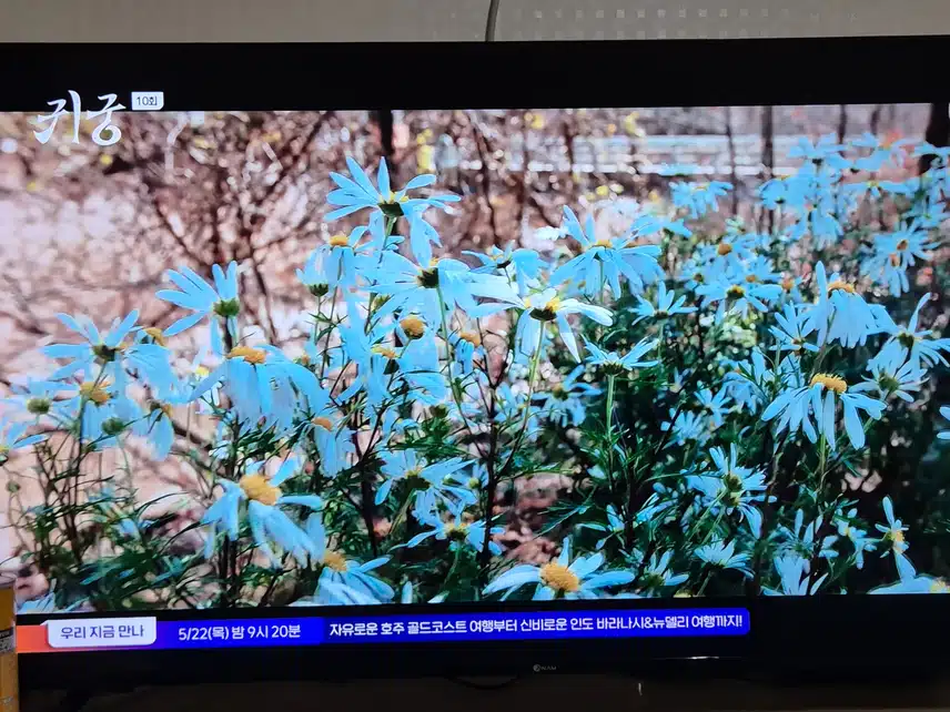 팔척귀 악귀들하고만 싸우다가 둘의 꽁냥꽁냥 보니 좋네요