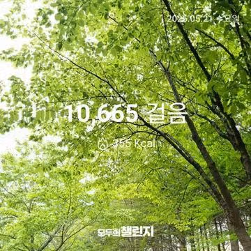 5월 21일 만보 완주 