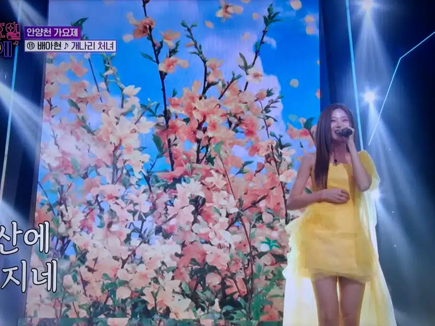 안양천가요제 아현님의 개나리처녀