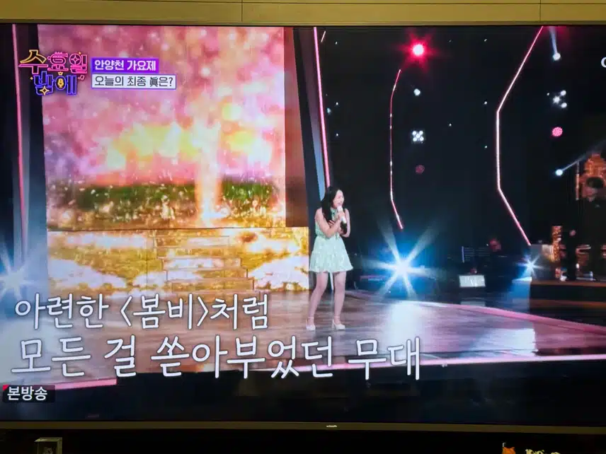 안양천가요제 최종 진은? 