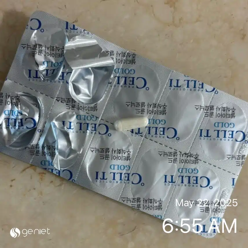 유산균💊