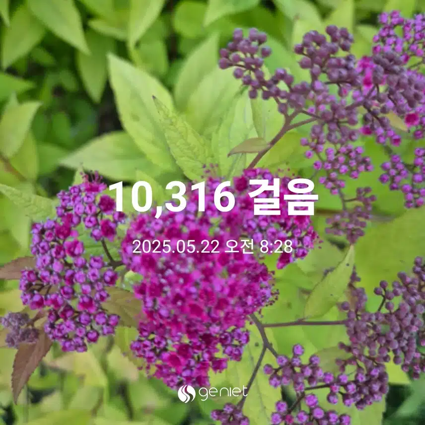 만보완주했어요