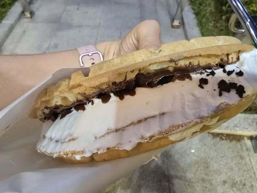 와플 대학