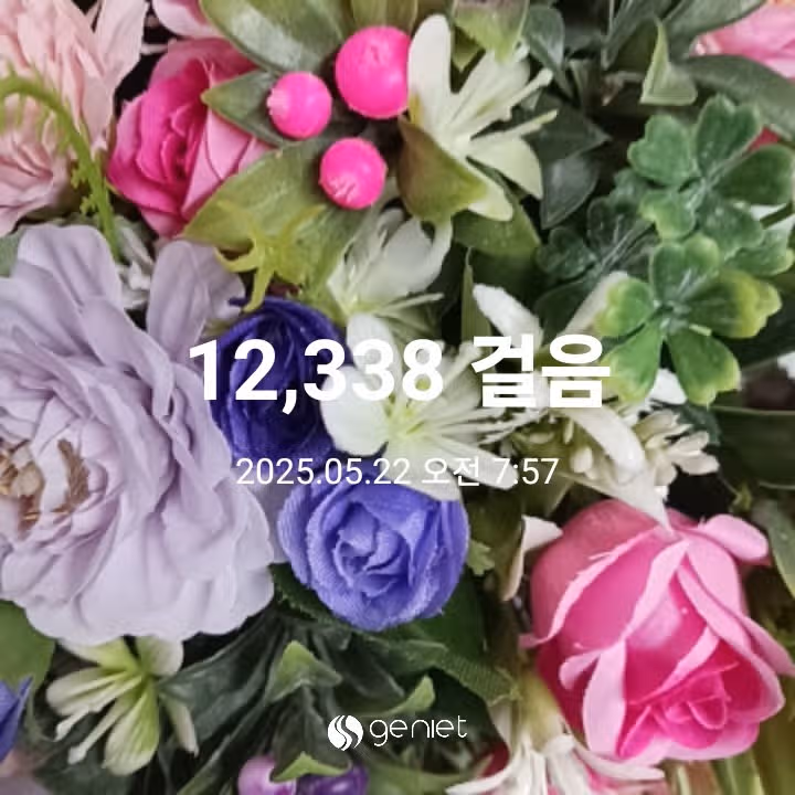 오전 운동