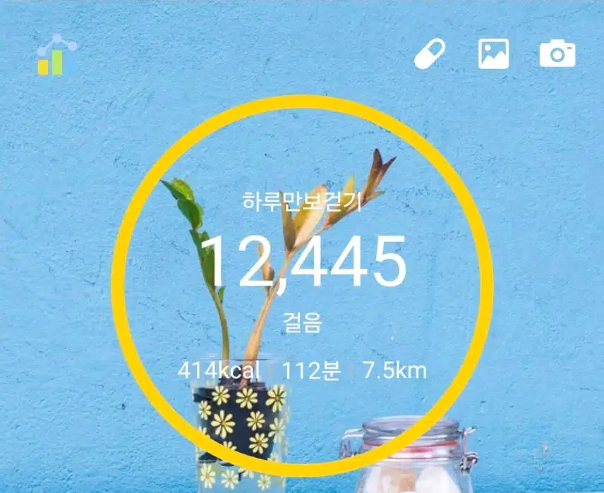 인증 