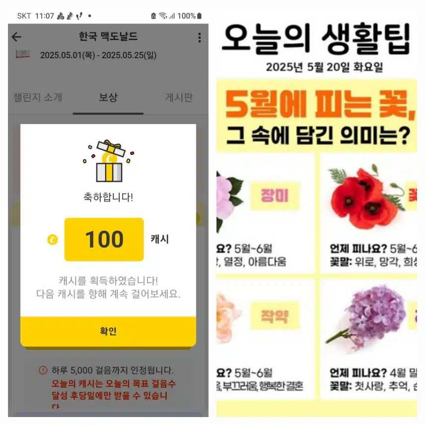  오전에 팀워크 100캐시