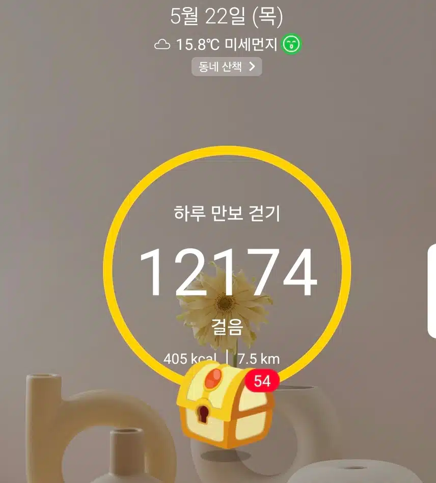 1만보 걷기 운동 마침